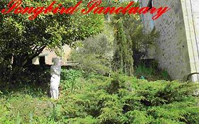 Songbird Sanctuary